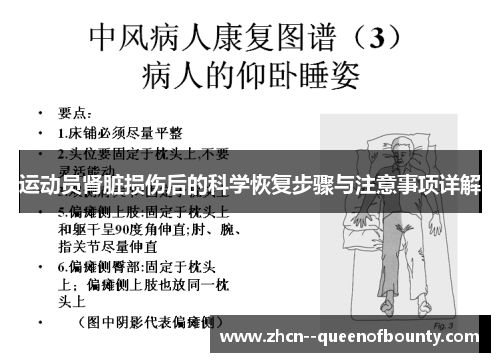 运动员肾脏损伤后的科学恢复步骤与注意事项详解 运动员肾脏损伤后的科学恢复步骤与注意事项详解